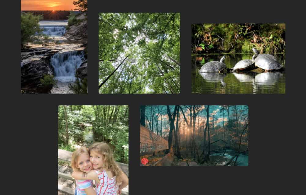 Hot Springs Village Trails Photo Contest Winners Announced