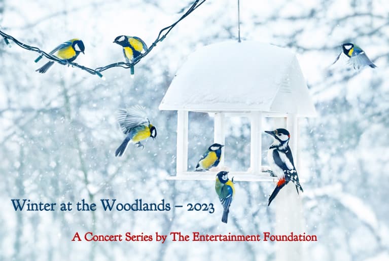 Winter at the Woodlands – 2023