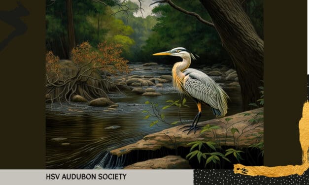 HSV Audubon Society Presents, “History & Future of the Stream Habitat Program”