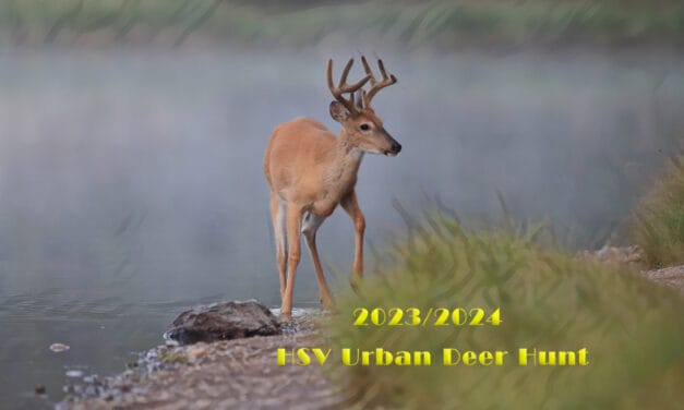 Who can participate in the 2023/2024 HSV Urban Deer Hunt?