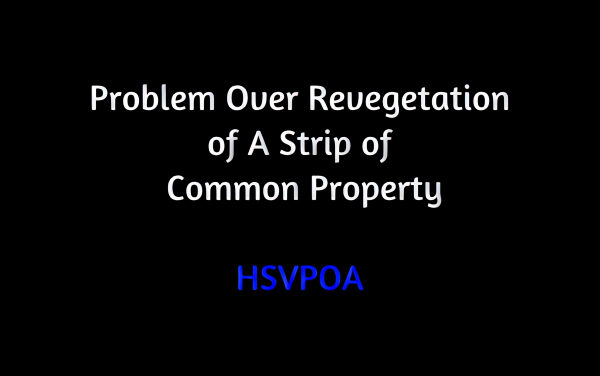 Problem Over Revegetation of A Strip of Common Property