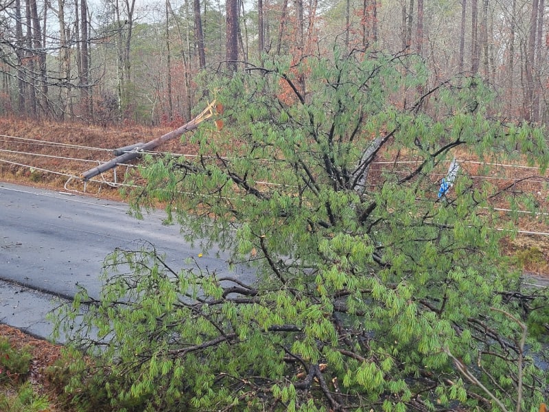 Storm Causes 250 to 300 Downed Trees - Power Outages in HSV