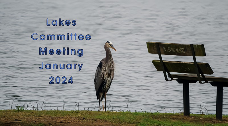 Lakes Committee Meeting January  2024