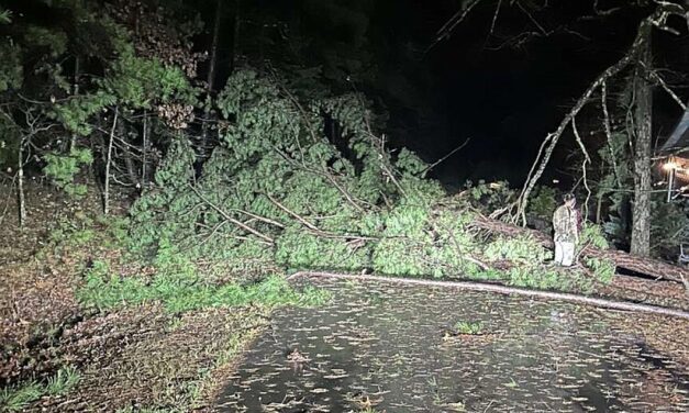 Twister Hits Hard in Hot Springs Village