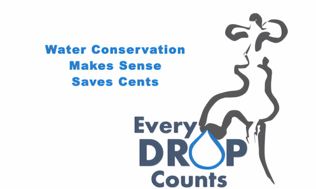 Why is water conservation in Hot Springs Village important?