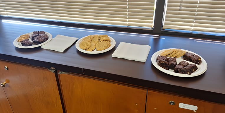 Hot Springs Village Public Services Committee Discuss Water Sewer Plans Sweet Treats