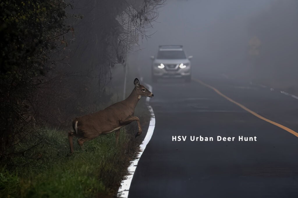 2024 Urban Deer Hunt Update Hot Springs Village