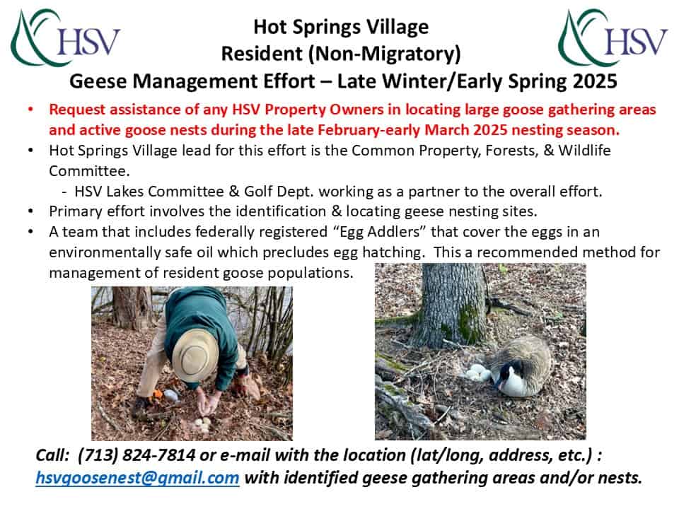 Goose egg addling - Hot Springs Village - Humane Population Management Practice 3